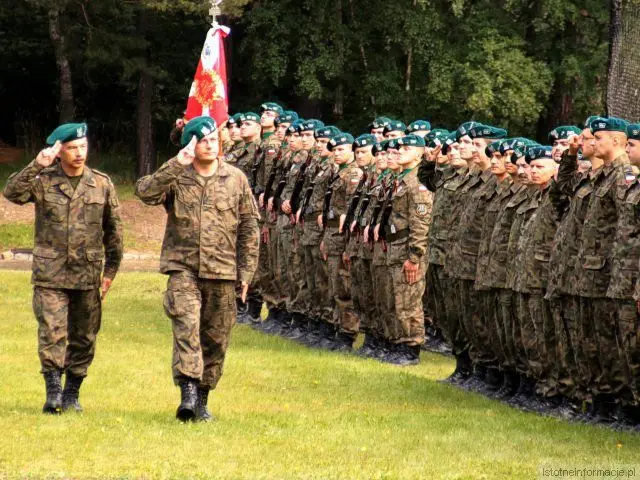 Obchody Święta Wojsk Lądowych 2010