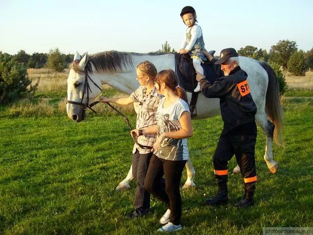 Festyn w Trzebieniu 2010