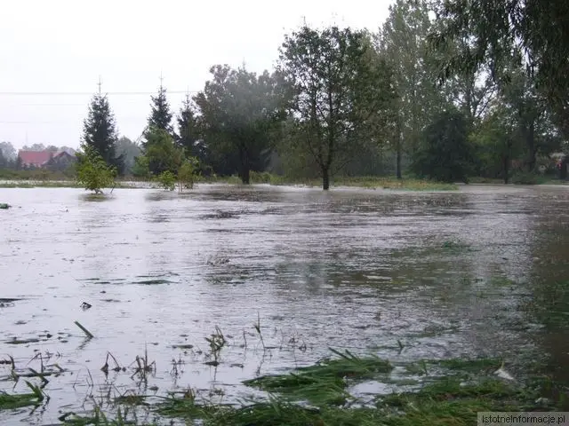 Tomaszów Bolesławiecki