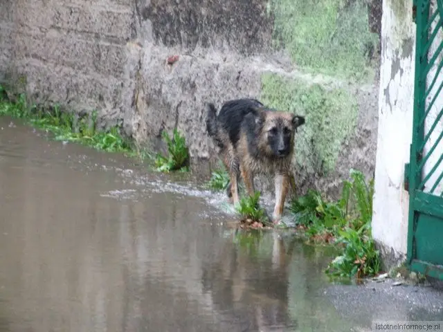 Kraśnik - zalane ulice