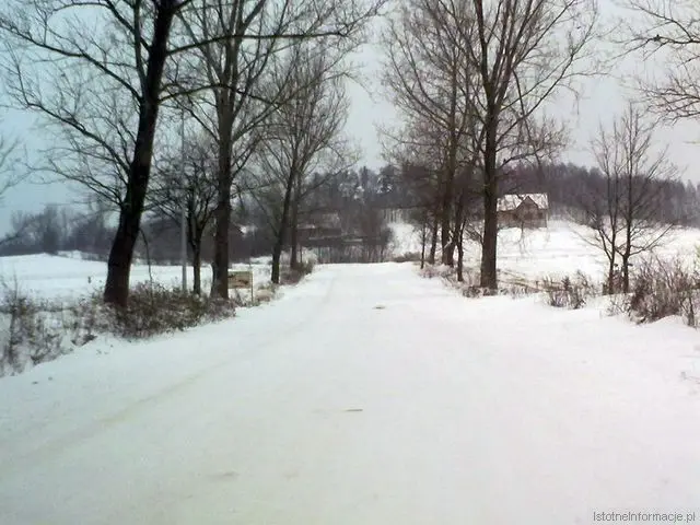 Drogi w powiecie