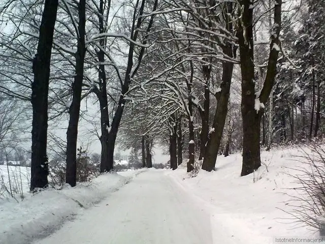 Drogi w powiecie