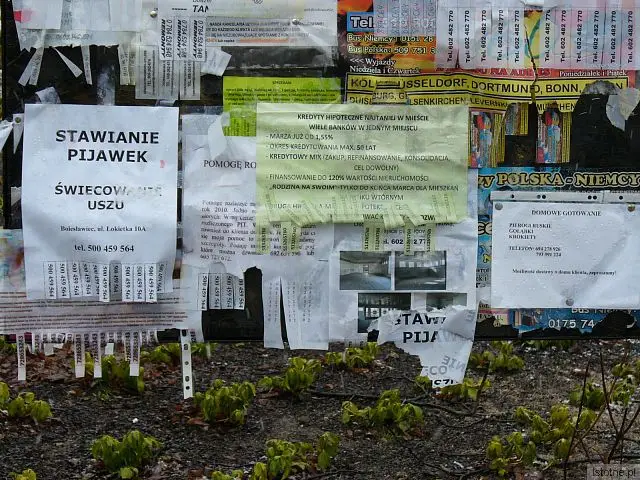 Na tablice naklejono, bez ładu i składu, reklamy przeróżnych usług.