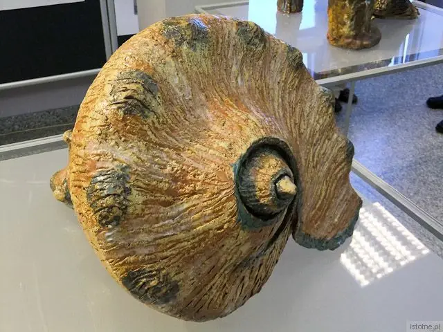 Tomasz Stadnik: Muszla