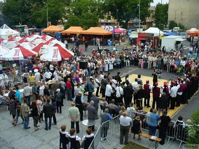 Festiwal Kultur - występ Vila Velebita