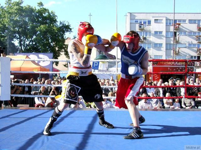Pokazowa walka bokserów