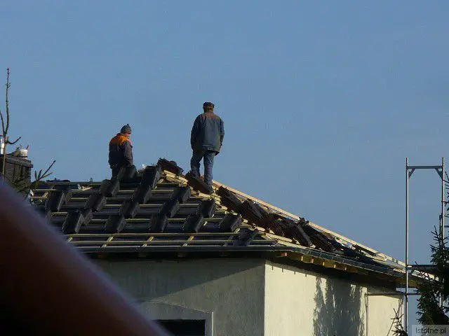 Włos się na głowie jeży i krew w żyłach ścina, jak się patrzy na to ich latanie po dachu – powiedziała Czytelniczka