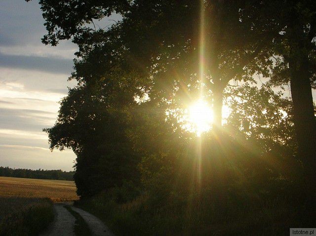 "Promyk słońca"