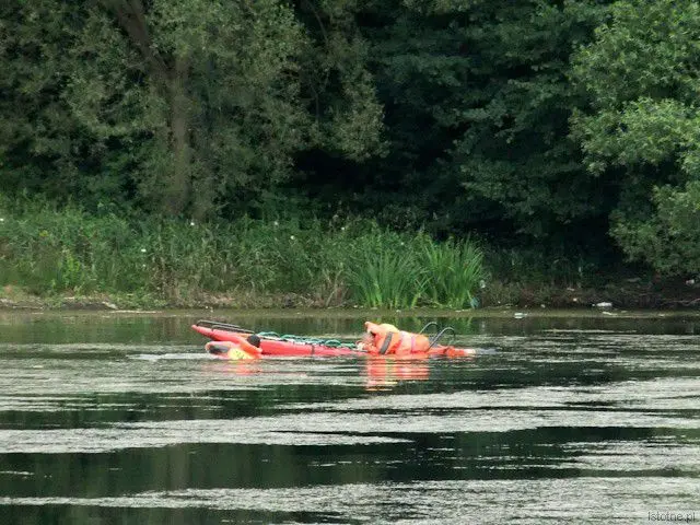 Ratownicy przeszukujący wodę