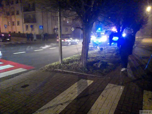 Mężczyzna wyszedł zza drzewa, kilka metrów za pasami