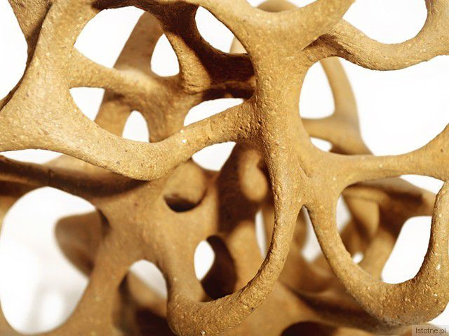 Elina Titane (Łotwa) "Aspiracja"