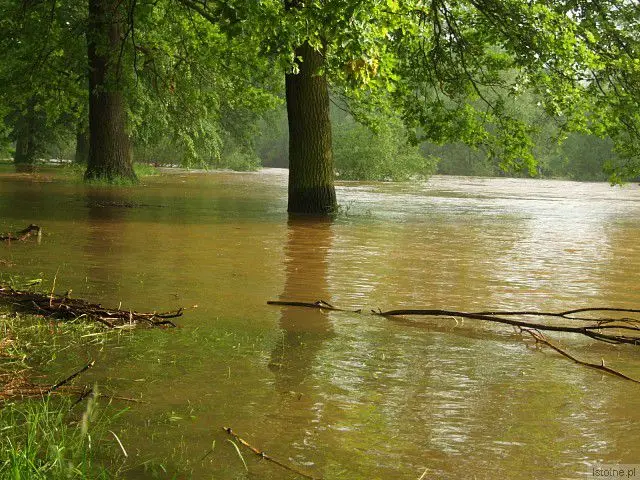 Rzeka Bóbr. 4 czerwca, godzina 18:00.