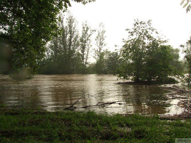 Rzeka Bóbr. 4 czerwca, godzina 18:00.