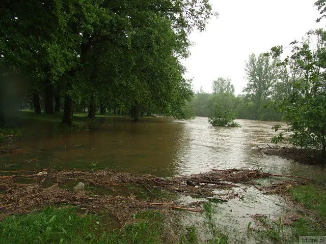 Rzeka Bóbr. 4 czerwca, godzina 18:00.