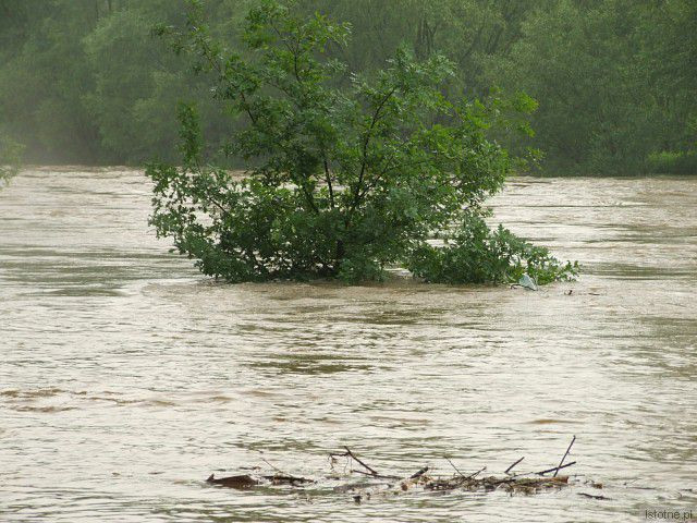 Rzeka Bóbr. 4 czerwca, godzina 18:00.