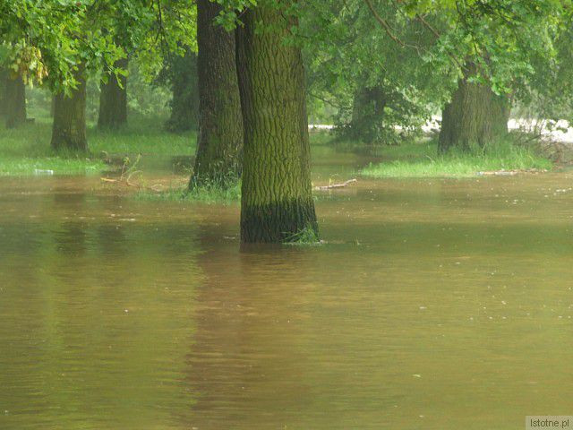 Rzeka Bóbr. 4 czerwca, godzina 18:00.