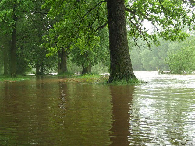 Rzeka Bóbr. 4 czerwca, godzina 18:00.