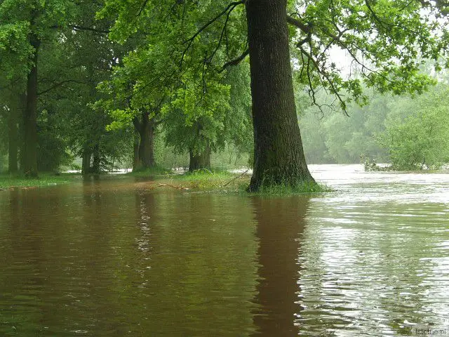 Rzeka Bóbr. 4 czerwca, godzina 18:00.