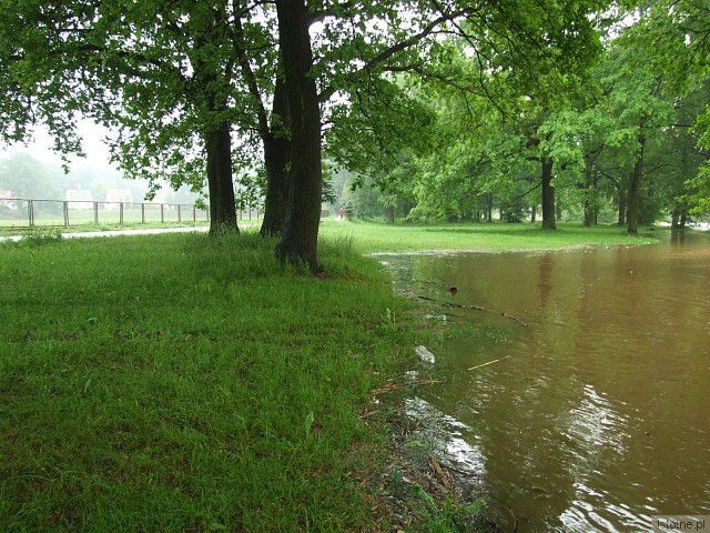 Rzeka Bóbr. 4 czerwca, godzina 18:00.