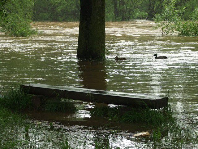 Rzeka Bóbr. 4 czerwca, godzina 18:00.