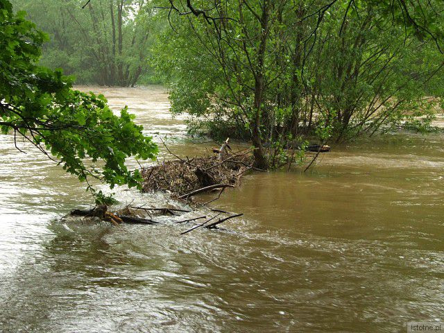 Rzeka Bóbr. 4 czerwca, godzina 18:00.