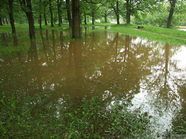 Rzeka Bóbr. 4 czerwca, godzina 18:00.