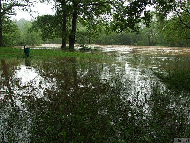 Rzeka Bóbr. 4 czerwca, godzina 18:00.