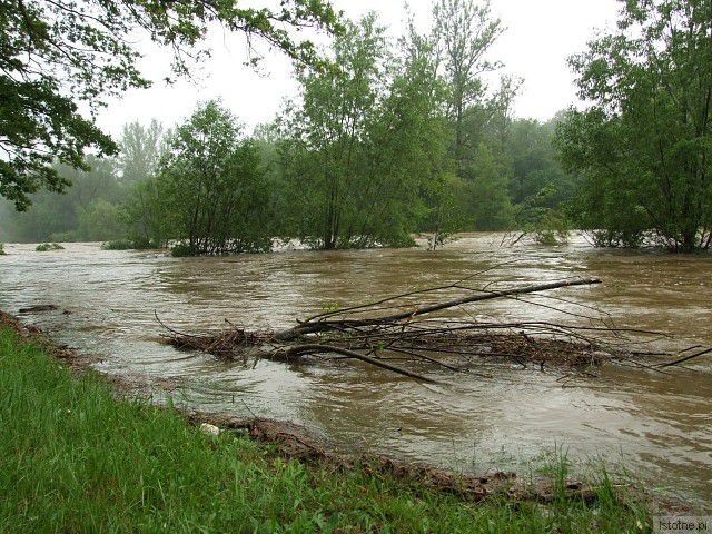 Rzeka Bóbr. 4 czerwca, godzina 18:00.