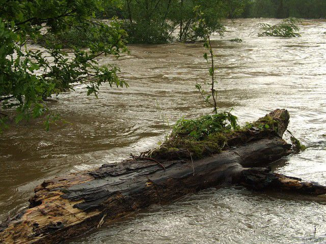 Rzeka Bóbr. 4 czerwca, godzina 18:00.