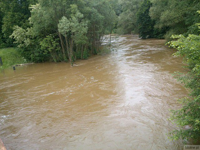 Rzeka Bóbr w Dąbrowie Bolesławieckiej. 5 czerwca 2013.