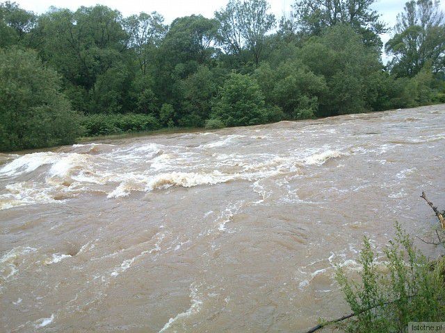 Rzeka Bóbr w okolicach ulicy Rajskiej. 5 czerwca 2013.