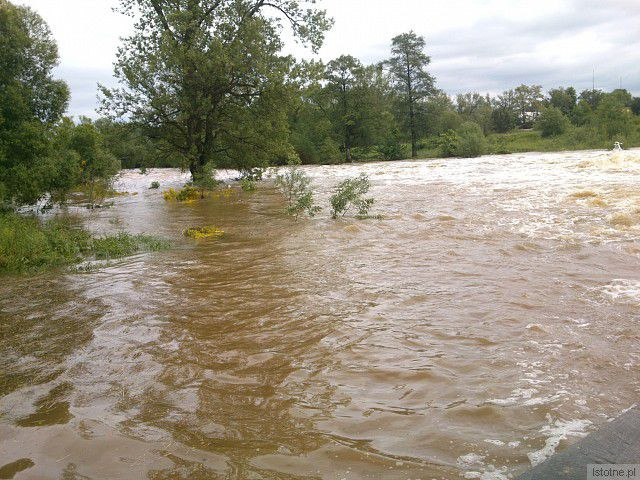 Rzeka Bóbr w okolicach wiaduktu. 5 czerwca 2013.