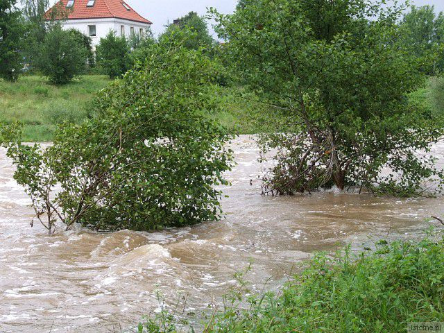 Rzeka Bóbr w Bolesławcu, w okolicach wiaduktu. 26 czerwca 2013 roku.