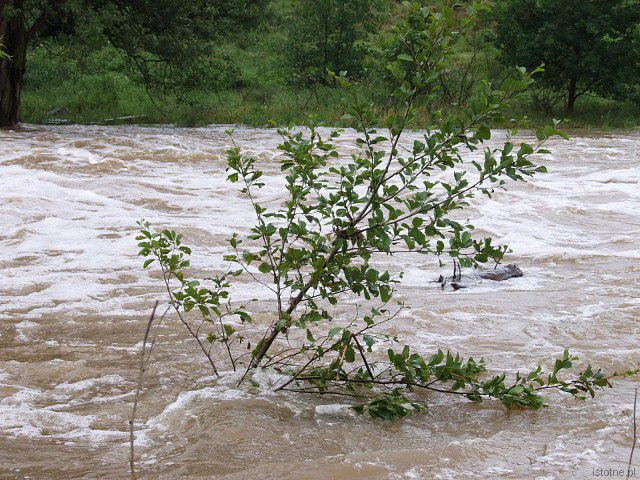 Rzeka Bóbr w Bolesławcu, w okolicach wiaduktu. 26 czerwca 2013 roku.