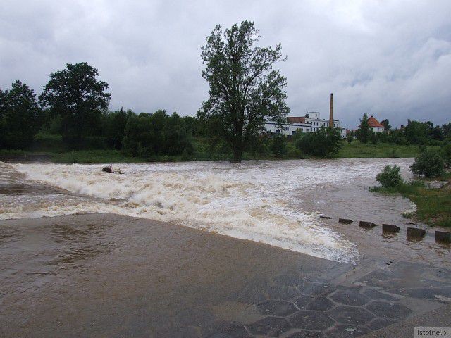 Rzeka Bóbr w Bolesławcu, w okolicach wiaduktu. 26 czerwca 2013 roku.