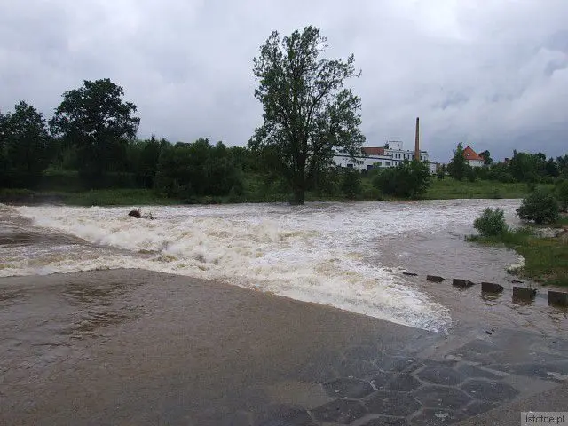 Rzeka Bóbr w Bolesławcu, w okolicach wiaduktu. 26 czerwca 2013 roku.