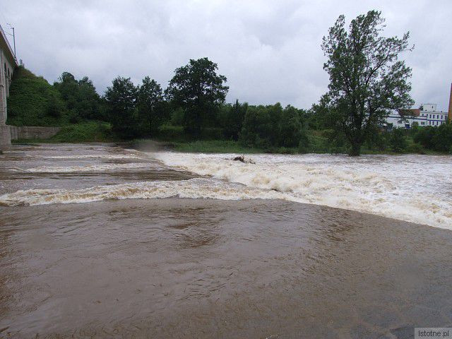 Rzeka Bóbr w Bolesławcu, w okolicach wiaduktu. 26 czerwca 2013 roku.