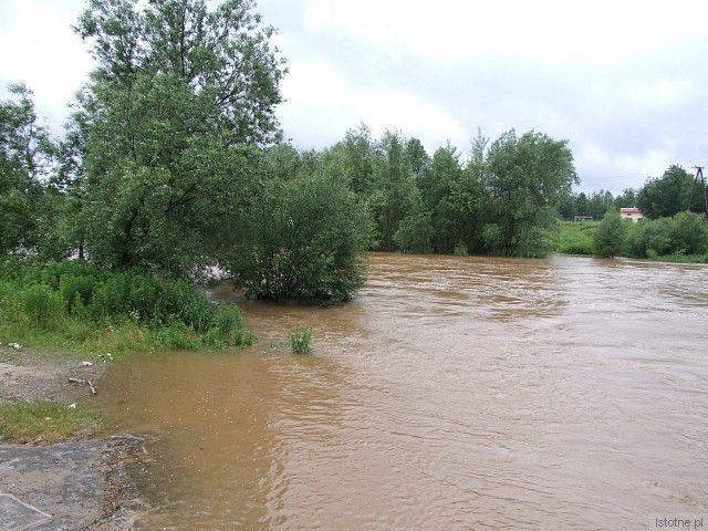 Rzeka Bóbr w Bolesławcu, w okolicach wiaduktu. 26 czerwca 2013 roku.