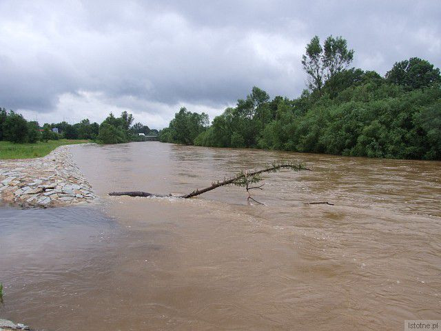 Rzeka Bóbr w Bolesławcu, w okolicach wiaduktu. 26 czerwca 2013 roku.