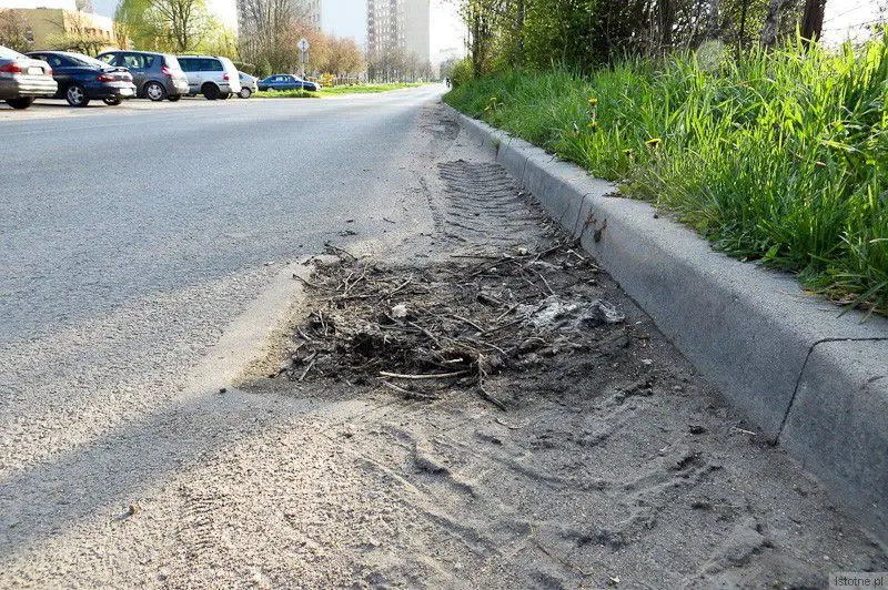 Ulica Staroszkolna. Piachu i śmieci jest tak dużo, że zatkały nawet studzienkę kanalizacyjną. (niedziela, 6 kwietnia 2014)