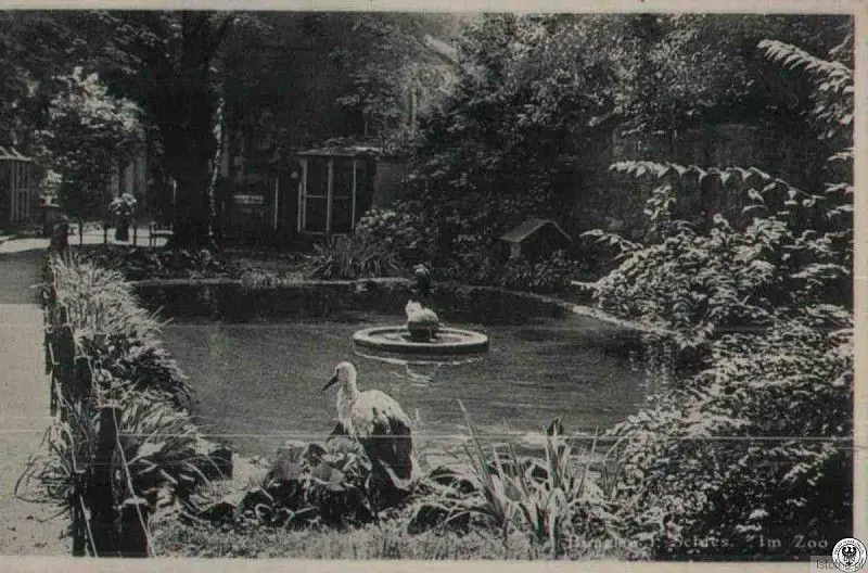 Bolesławieckie zoo w pierwszej połowie lat 30.