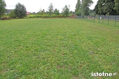 LBO-owskie boisko przy Goździkowej