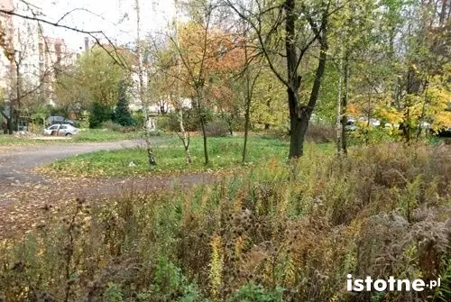 Parking i nowa ulica