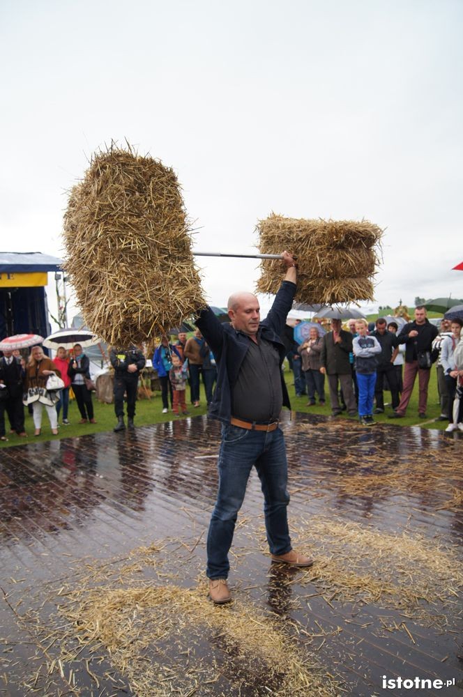 Dożynki 2014 w Kraśniku Dolnym