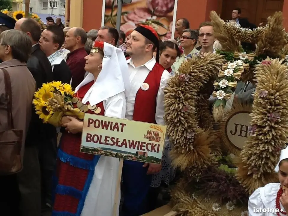 Wieniec z Ocic 2014