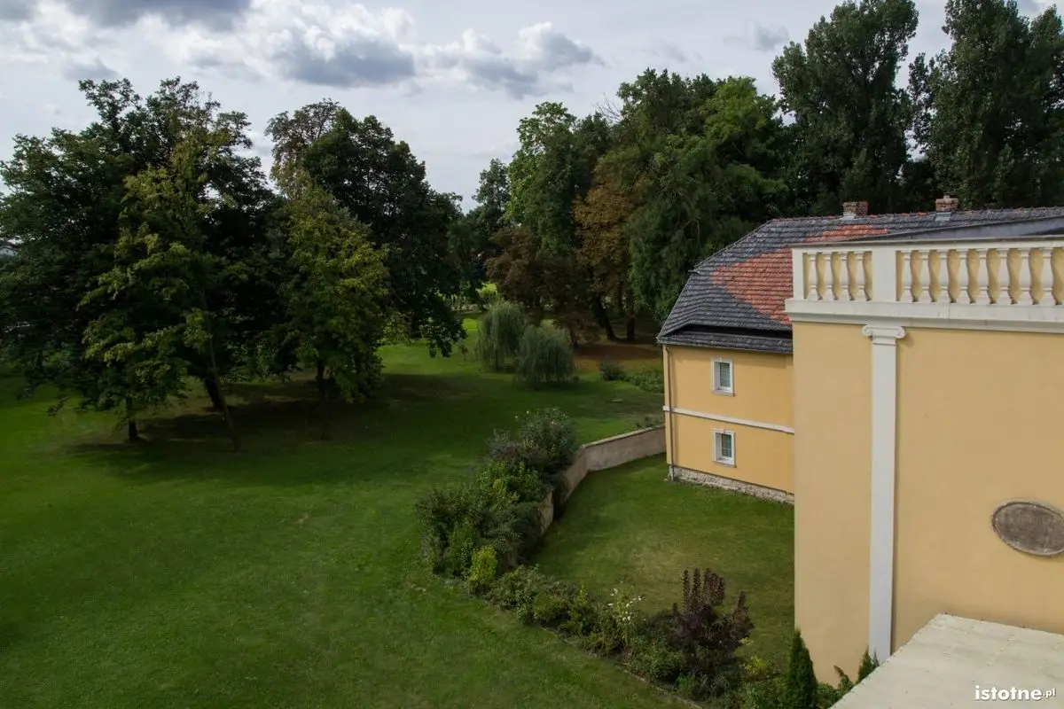 Widok na park z górnych pięter pałacu
