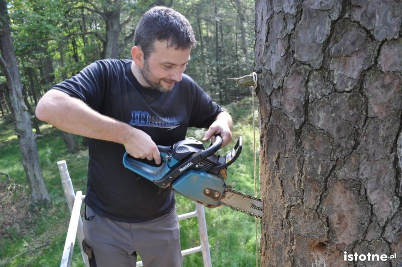 Bartnicy w Borach Dolnośląskich