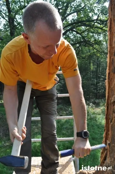 Bartnicy w Borach Dolnośląskich