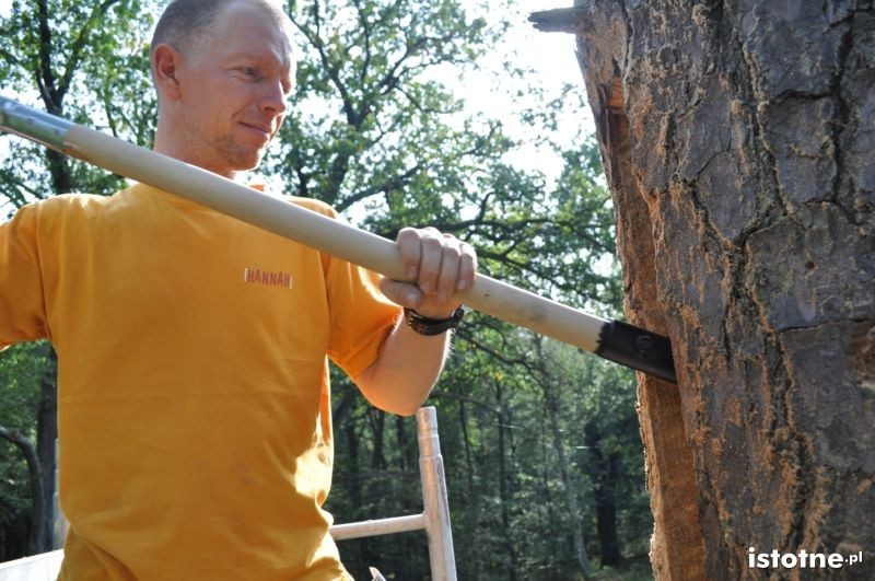 Bartnicy w Borach Dolnośląskich