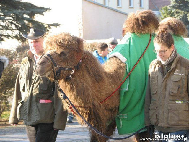 Orszak Trzech Króli